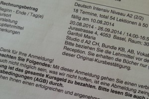 Fakturierte Leistungen
